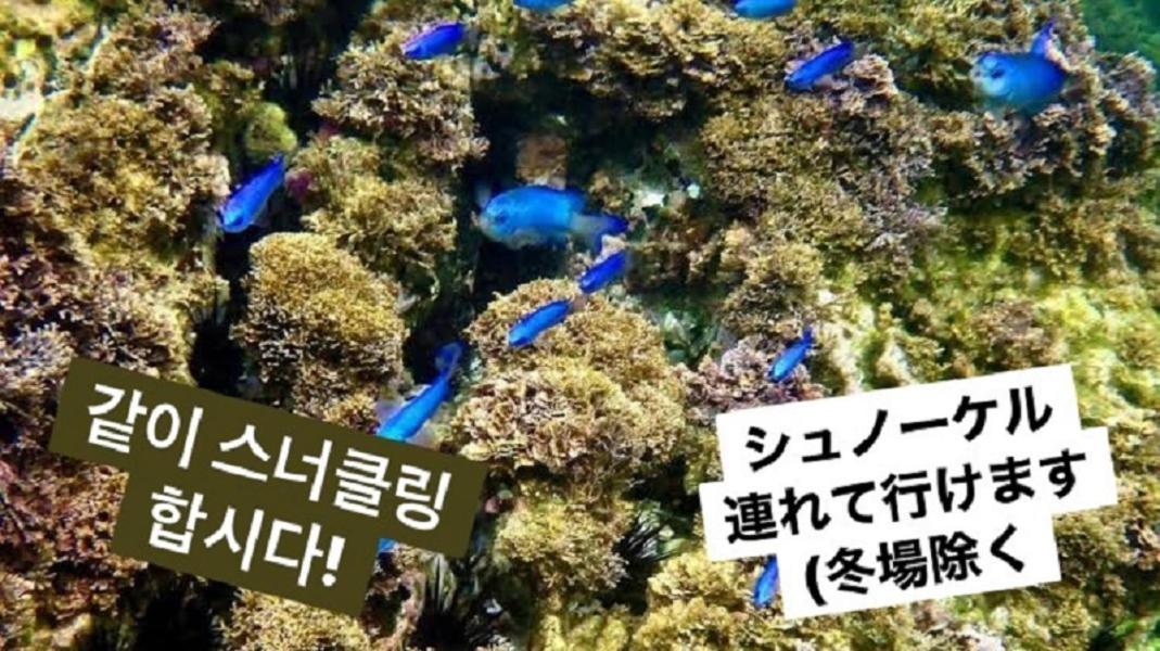 Plage Yuigahama Kamakura Buitenkant foto