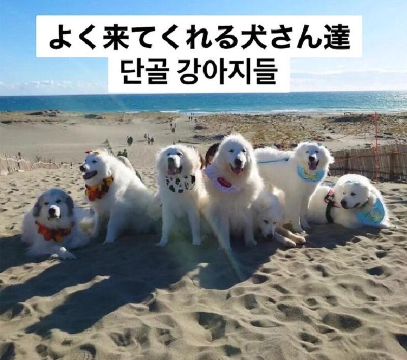 Plage Yuigahama Kamakura Buitenkant foto
